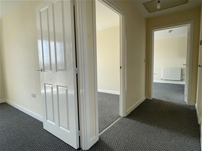 Picture 12